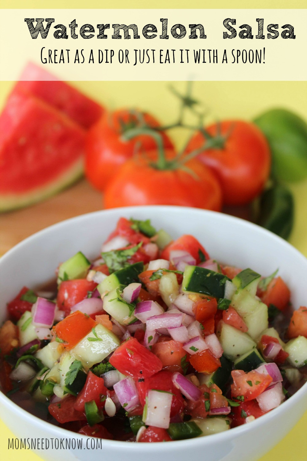 Watermelon Salsa Recipe
 Easy Watermelon Salsa Recipe