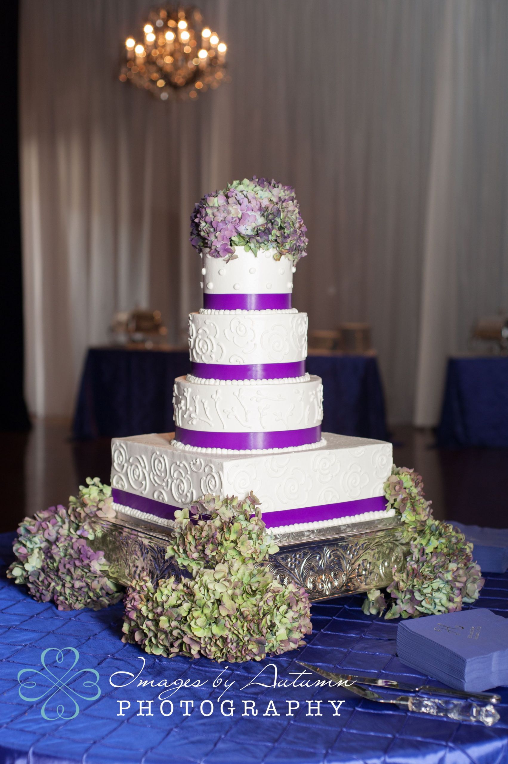Wedding Cakes Winston Salem Nc
 Cakes by Manfred Millennium Center Wedding Winston Salem