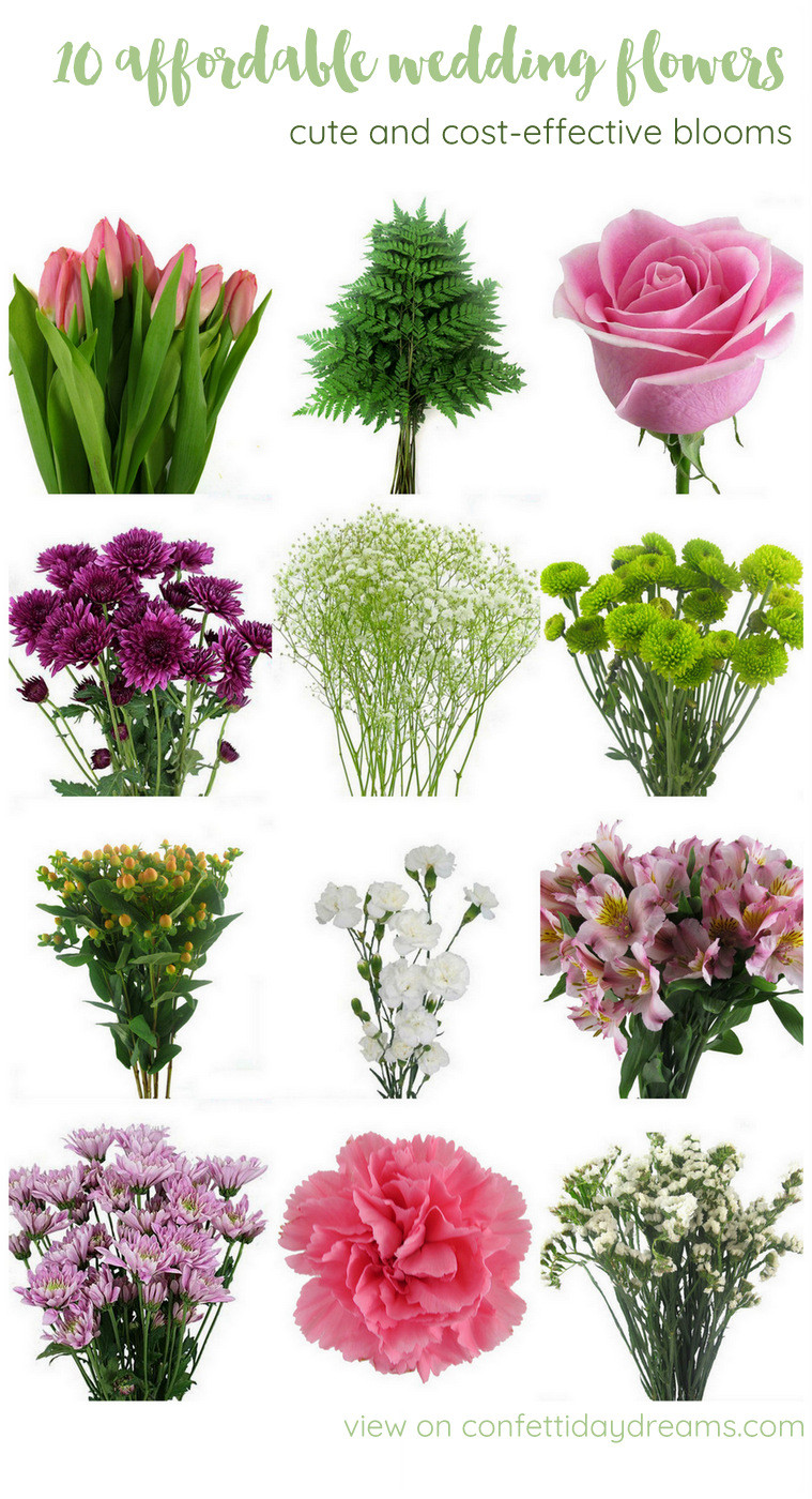 Wedding Flowers On A Budget
 The Most Affordable Types of Wedding Flowers on a Bud