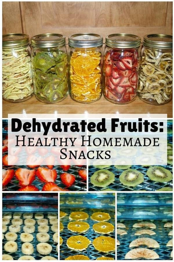 Welch'S Fruit Snacks Healthy
 Dehydrated Fruits Healthy Homemade Snacks The Bud Diet