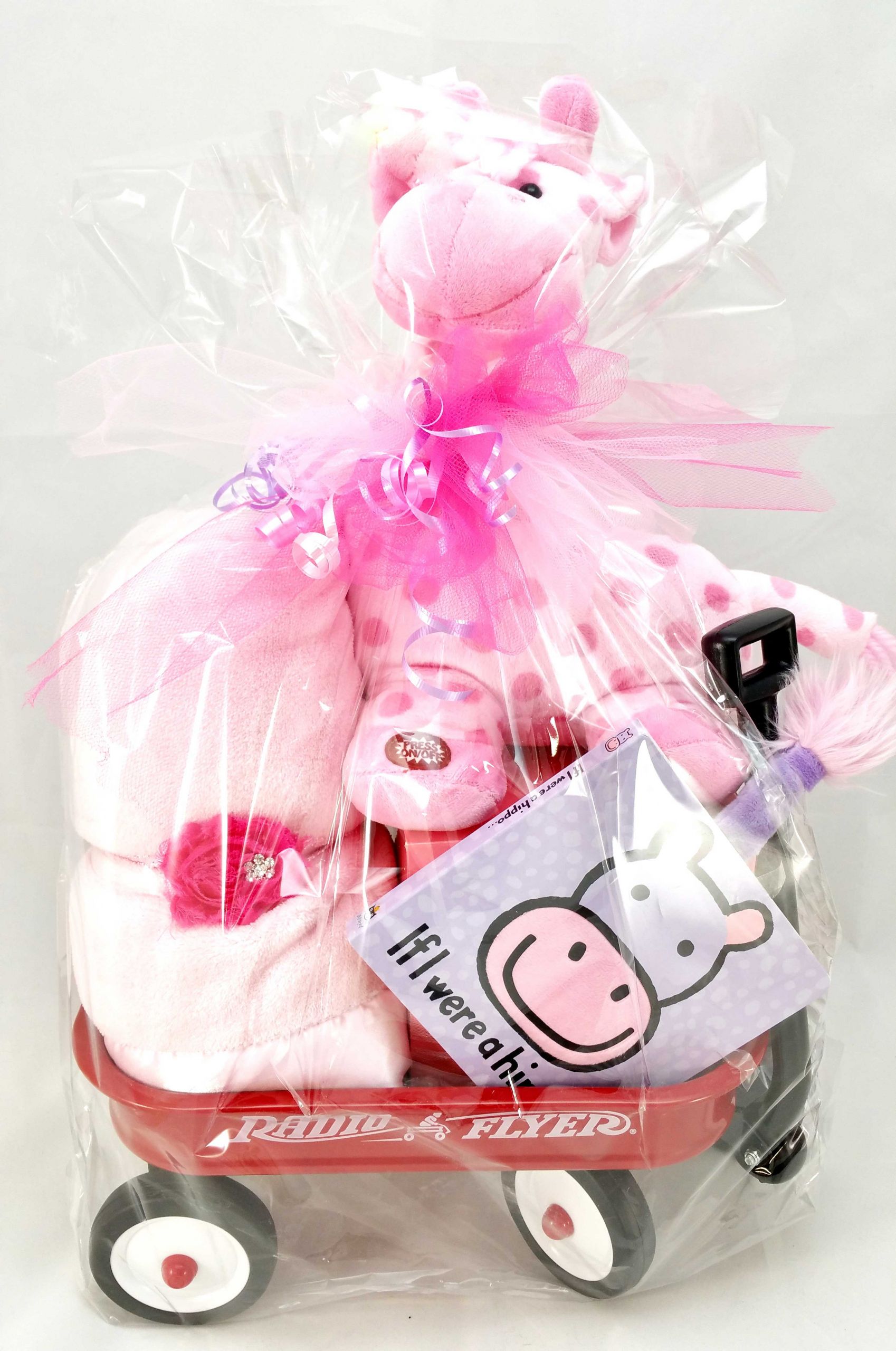 Welcome New Baby Gifts
 Newborn Gift Package Wel e Baby Girl Purple Pumpkin