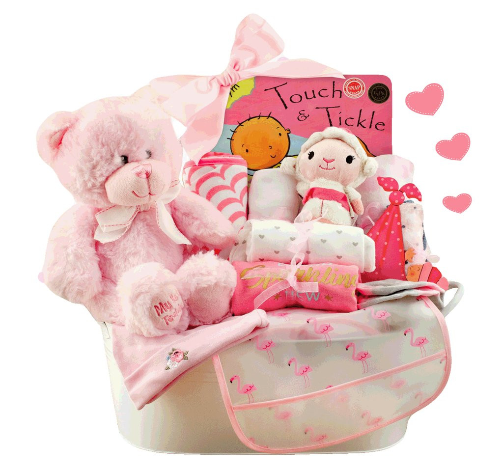 Welcome New Baby Gifts
 Wel e Home Newborn Baby Girl Gift Basket Stork Baby