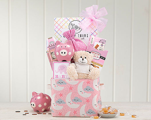 Welcome New Baby Gifts
 New Baby Gift Baskets Delivered Gulf Coast Florida