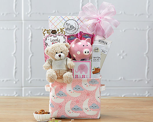 Welcome New Baby Gifts
 New Baby Gift Baskets Delivered Gulf Coast Florida