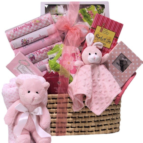 Welcome New Baby Gifts
 Shop Great Arrivals Wel e Home Baby Girl Gift Basket