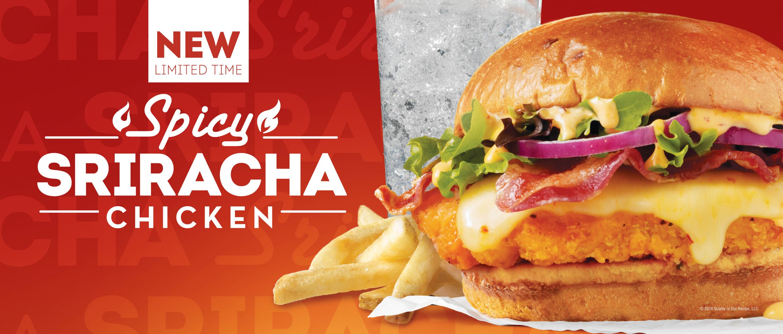 Wendy'S Chicken Sandwiches
 Wendy s Introduces Spicy Sriracha Chicken Sandwich