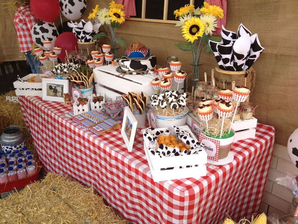 Western Birthday Party Supplies
 western theme Birthday Party Ideas 6 of 7