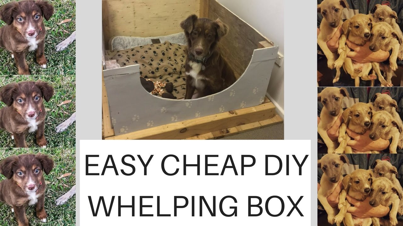 Whelping Box DIY
 Easy Cheap Diy Whelping box plus PUPPY UPDATE
