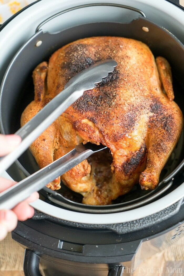 Whole Chicken In Air Fryer
 Air Fryer Whole Chicken Ninja Foodi Whole Chicken