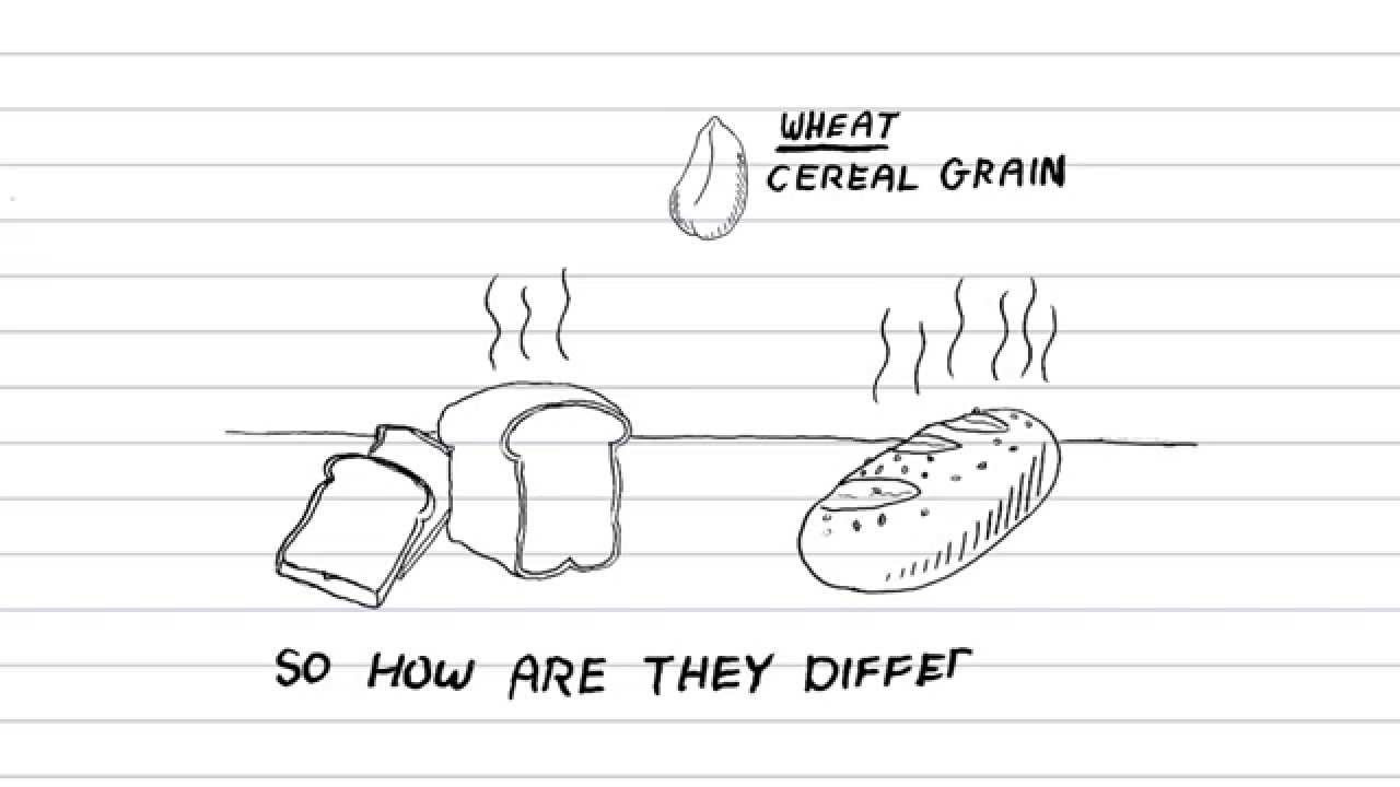 Whole Grain Vs Whole Wheat Bread
 White Bread Vs Whole Wheat Grain Whats healthier