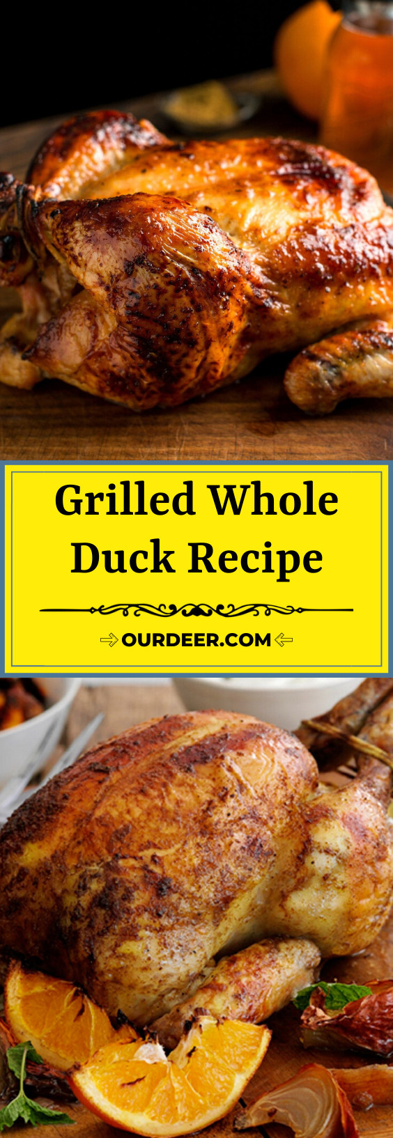 Whole Wild Duck Recipes
 Grilled Whole Duck Recipe