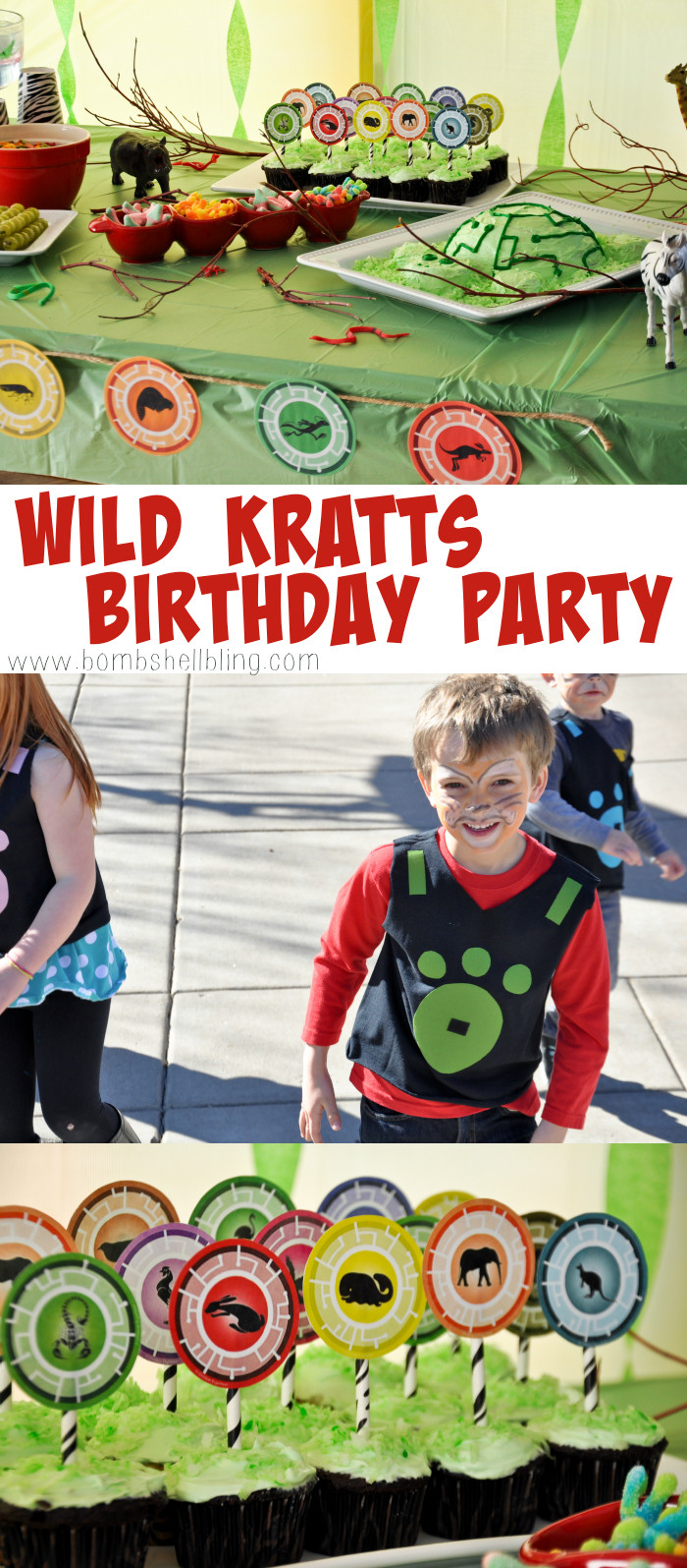 Wild Kratts Birthday Party Ideas
 Wild Kratts Birthday Party Fun Ideas For Food Decor and