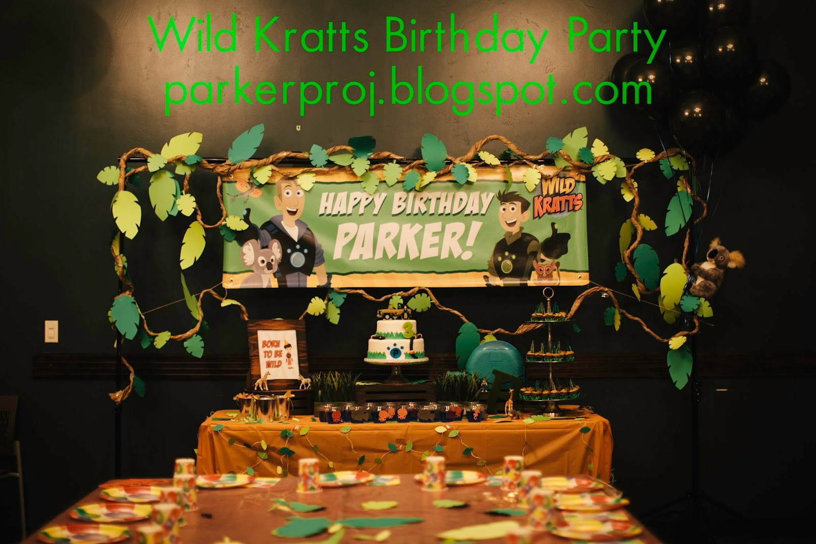 Wild Kratts Birthday Party Ideas
 The Parker Project Wild Kratts Birthday Party at Nickel