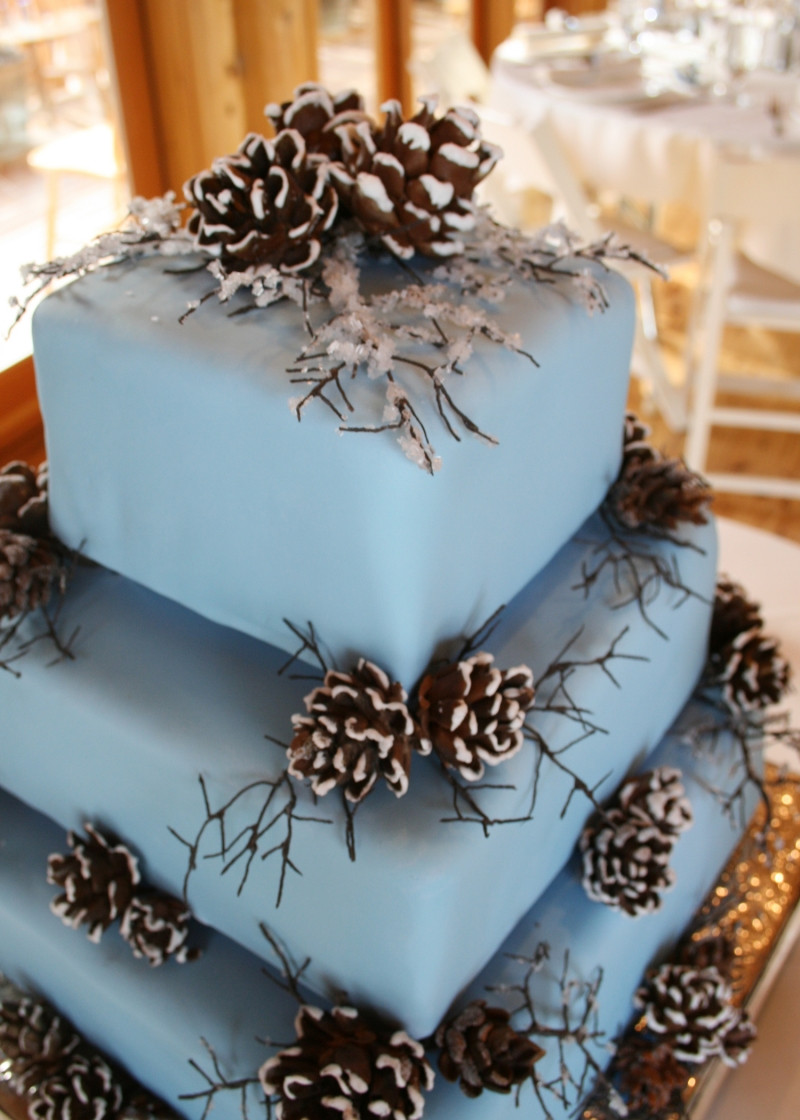 Winter Themed Wedding Cakes
 Winter Wedding Cake Ideas