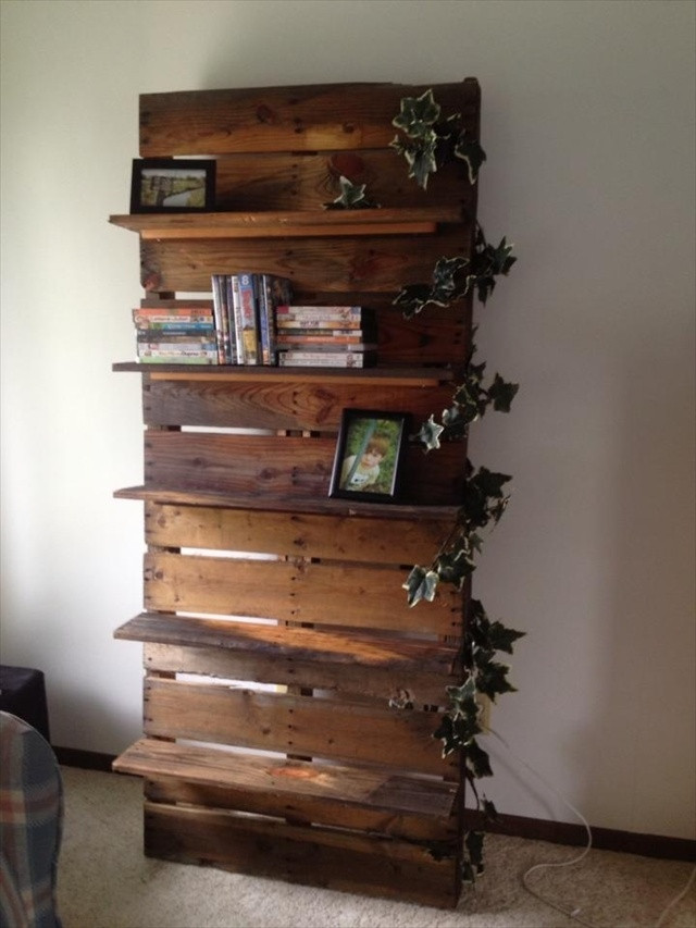 Wooden Bookshelf DIY
 DIY Bookshelf Ideas with Pallet Wood