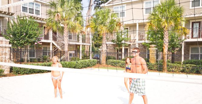 Woodlands Backyard Volleyball
 Volleyball Woodlands of Gainesville