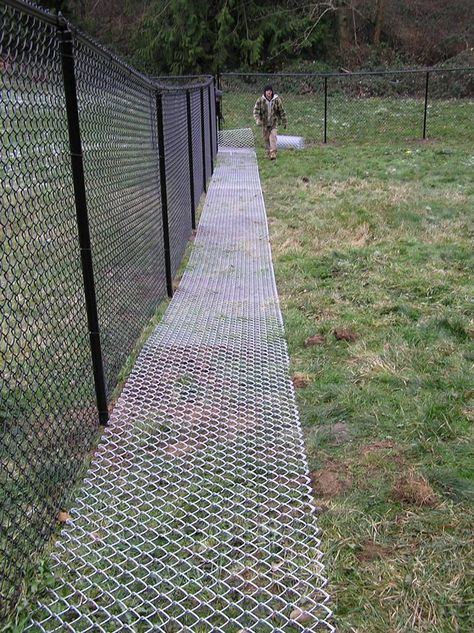 Word Whizzle In The Backyard
 Backyard ideas for dogs that dig chicken wire 19 super