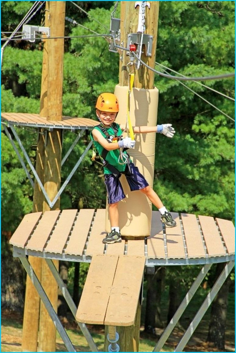 Ziplines For Backyard
 Backyard Zip Line Platform